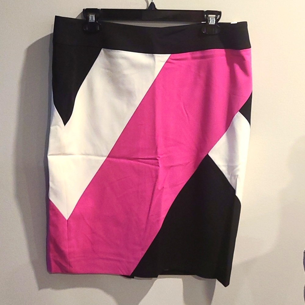 NWT Nine west colour blocking skirt